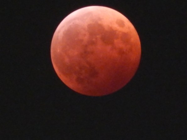 ニコン COOLPIX L820 [レッド]で撮影された写真 (掲示板) - 価格.com