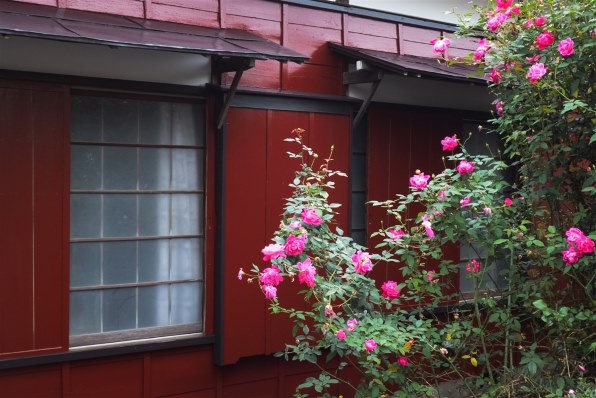 SONY Cyber-shot DSC-T900 作例あり 動作品 デジカメ Amazon.co.jp: Sony Cyber - shot DSC - t900 12.1 MPデジタルカメラ