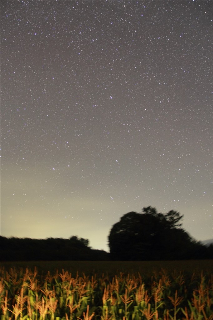 Canon EF-S 10-18mm STM★手振れ補正レンズ★星空・風景撮影に Canon EF-S 10-18mm STM☆手振れ補正レンズ☆星空・風景撮影に