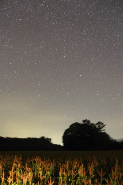 星景写真にはいかがでしょうか。』 CANON EF-S10-18mm F4.5-5.6 IS STM