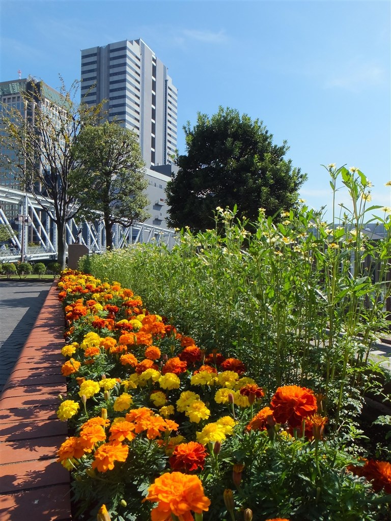 Fujifilm 富士フイルム Z2000EXR 4GB　Wi-Fi転送 富士フイルム、Wi-Fiを搭載した薄型デジカメ「FinePix Z2000EXR