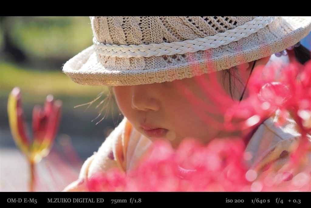 75mm F1.8と45mmF1.8のどちらを購入するか悩んでいます