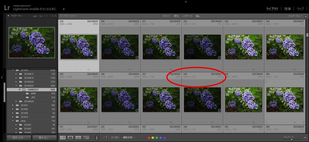 jpgとrawの表示順序について』 Adobe Adobe Photoshop Lightroom