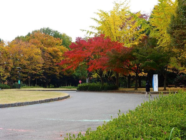 【天体撮影】Panasonic DMC-TZ35 パナソニック LUMIX DMC-TZ35 価格比較 - 価格.com