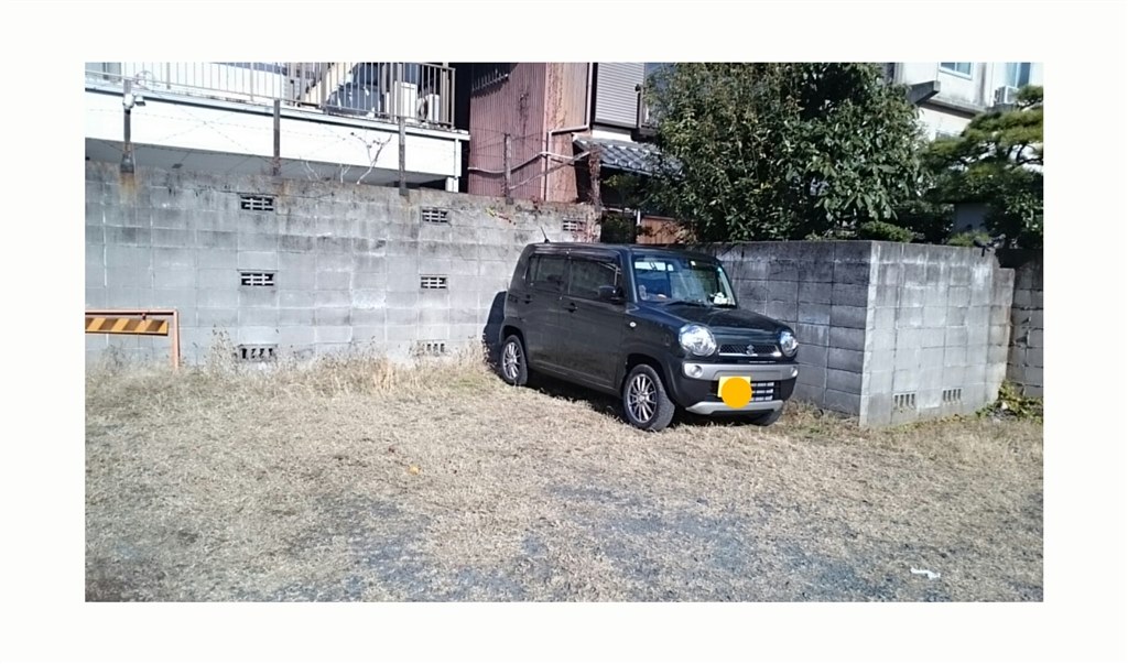 オーダー塗装 にゃぽにさま ハスラー ドアミラーカバー ウッド（MR31S 