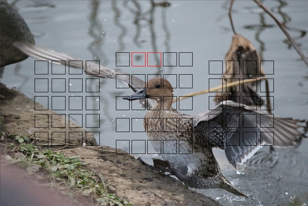 7D Mk2 + EF-S55-250mm f/4-5.6 ISII』 CANON EOS 7D Mark II ボディ