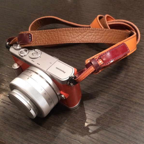 オレンジ購入するか迷っています』 パナソニック LUMIX DMC-GM1K