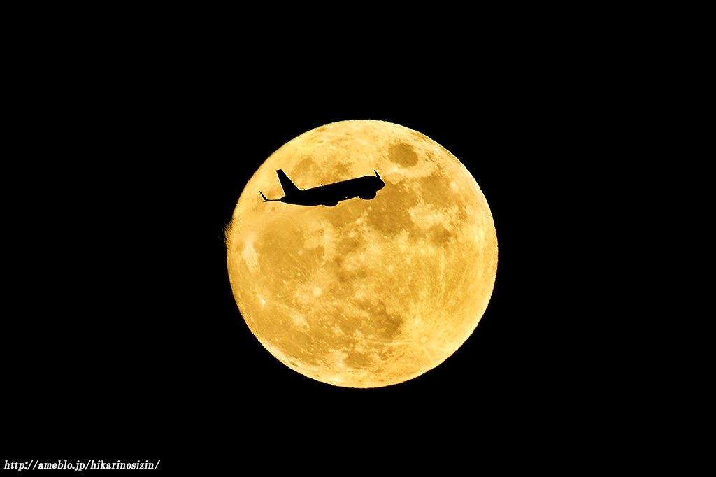 ハチゴローで撮影した画像・・・』 ニコン AF-S NIKKOR 800mm f/5.6E