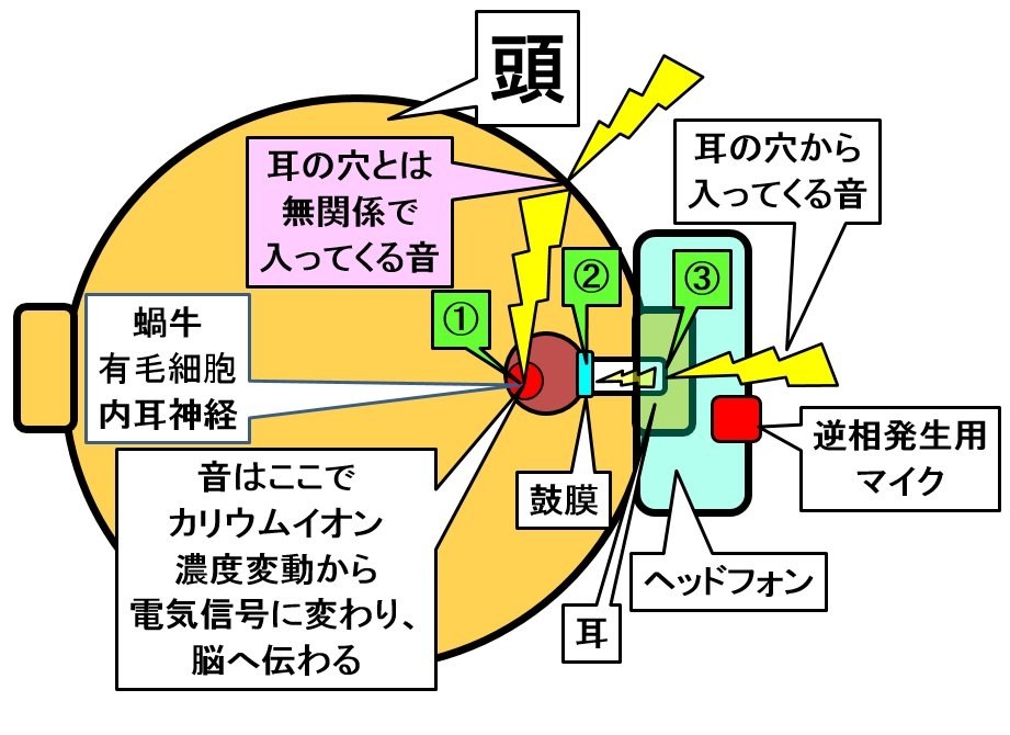 ほんとにノイズキャンセルですか？』 SONY MDR-ZX110NC の