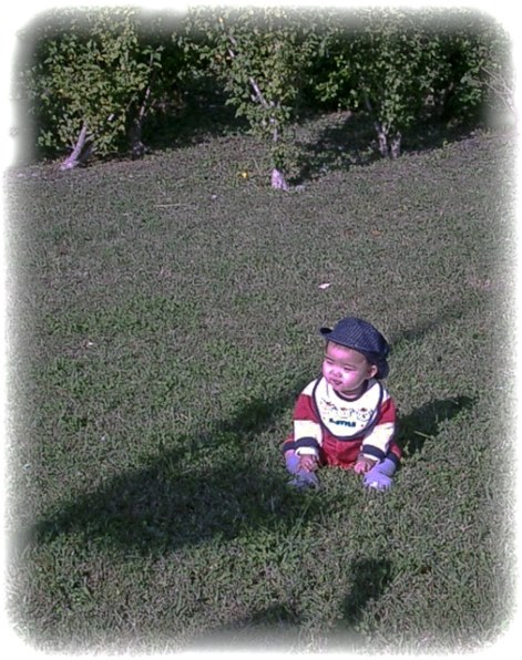 コンデジまとめ売り QV-R4 IXYPC1001 F401 PC1108 L 1万円台で買える】超コンパクトなオールドコンデジ「Canon IXY DIGITAL