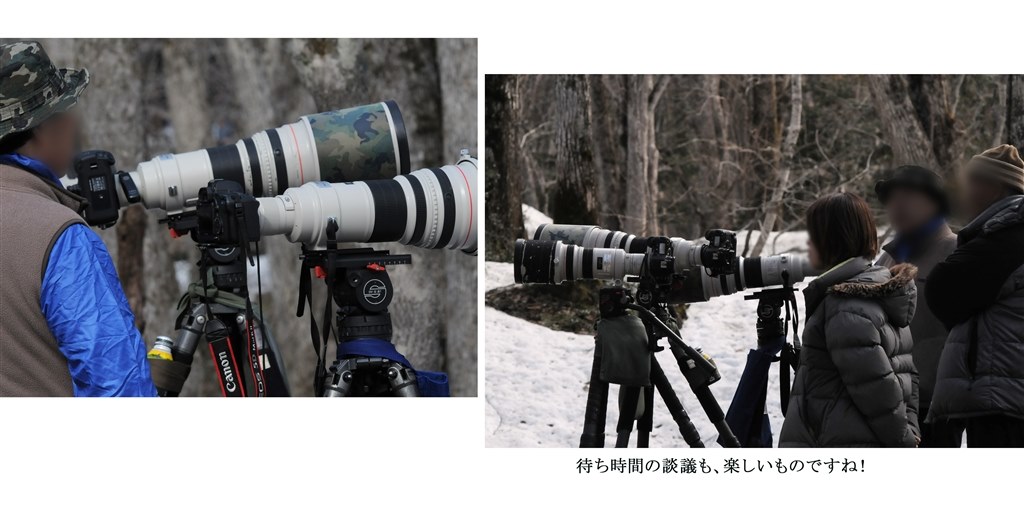 D4Sか1DX』 CANON EOS-1D X ボディ のクチコミ掲示板 - 価格.com