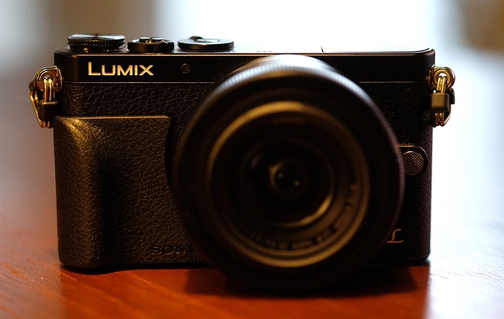 RX100用グリップがぴったり』 パナソニック LUMIX DMC-GM1K レンズ