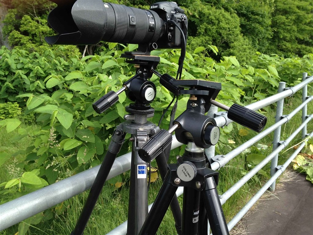 Amazon | Navitech軽量アルミニウム三脚。Nikon D810デジタル