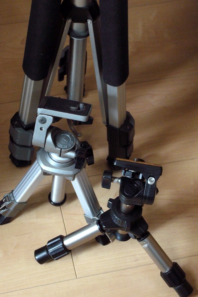 マクロ撮影に適した三脚を教えてください Canon Ef100mm F2 8l マクロ Is Usm のクチコミ掲示板 価格 Com