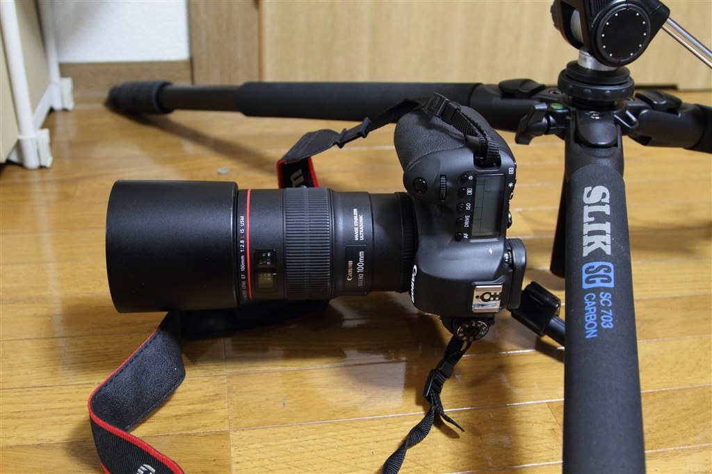 マクロ撮影に適した三脚を教えてください Canon Ef100mm F2 8l マクロ Is Usm のクチコミ掲示板 価格 Com