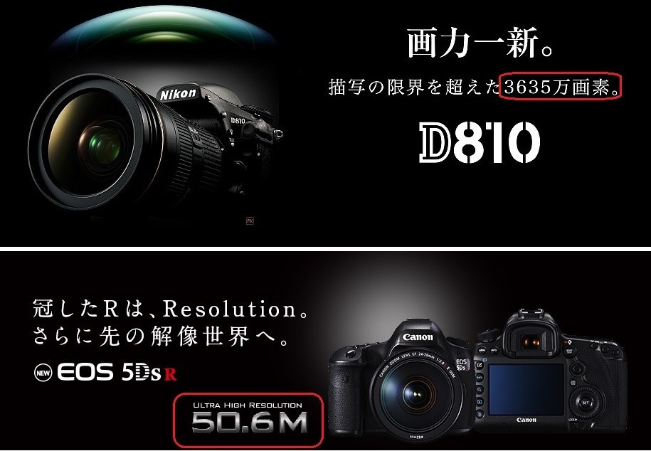 ニコン D810 レンズセット Nikon D810 レンズセット 3日間限定！ Nikon