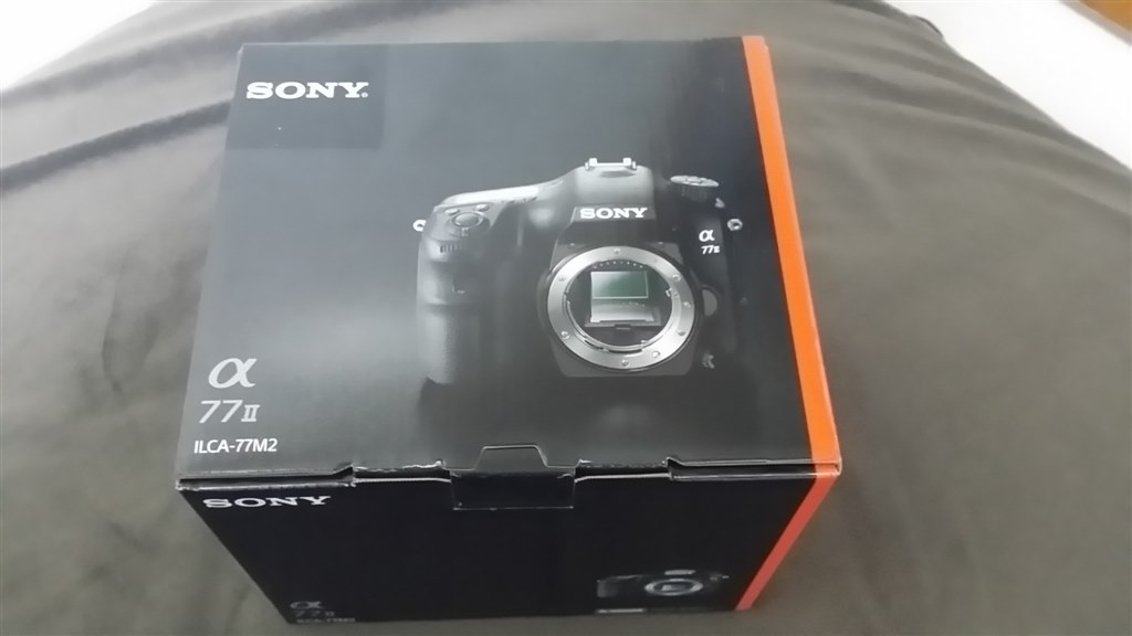 Ⅱ型の変更点』 SONY 70-300mm F4.5-5.6 G SSM II SAL70300G2 の Ⅱ型の変更点』 SONY 70-300mm F4.5-5.6 G SSM II SAL70300G2 の