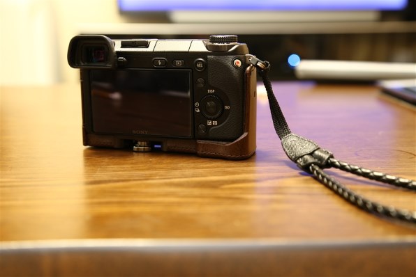 ケースが少ない・・・α6000のケースを流用♪』 SONY α NEX-6