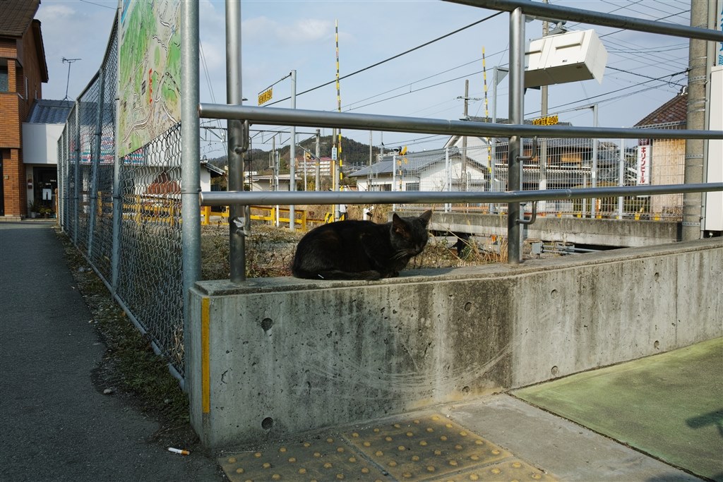 作例が少なくてさみしい』 シグマ SIGMA dp1 Quattro のクチコミ掲示板 - 価格.com