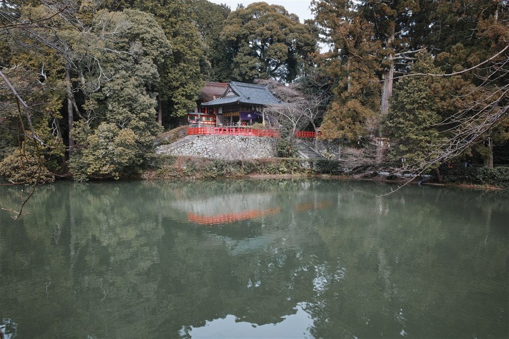 作例が少なくてさみしい』 シグマ SIGMA dp1 Quattro のクチコミ掲示板