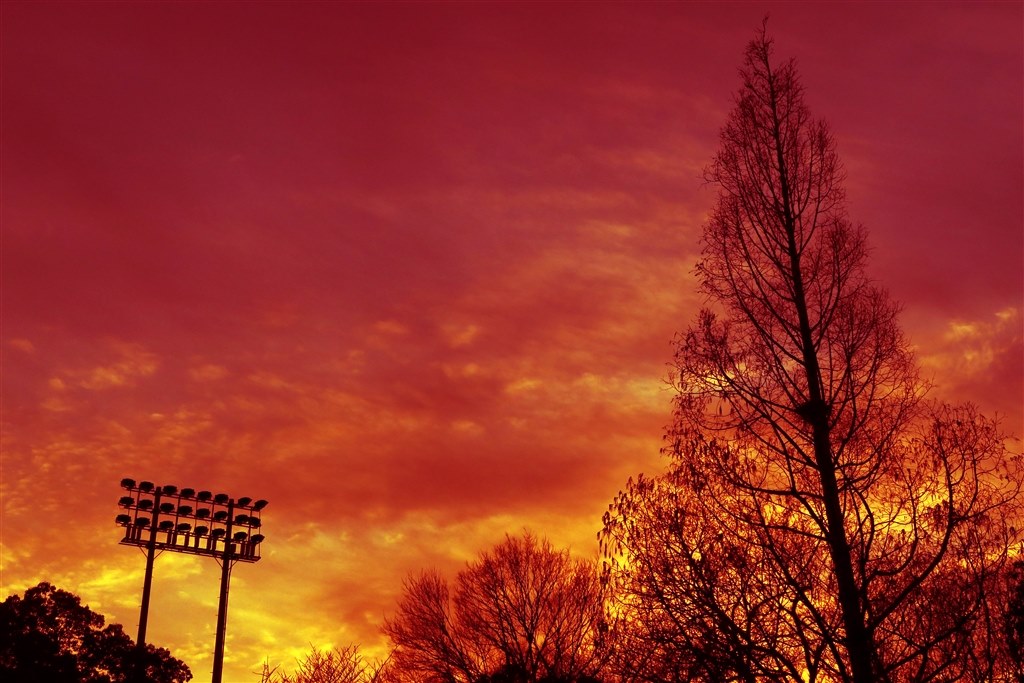 真っ赤な夕焼けの撮影方法』 SONY α NEX-7 ボディ のクチコミ掲示板