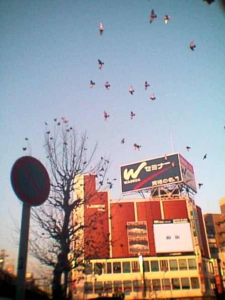 腕時計型子供向けスマートウォッチ プレイウォッチ は面白そう クチコミ掲示板 価格 Com