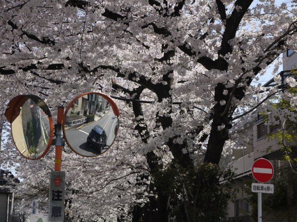 GF1's owner（以外の方も♪）のPhoto session Part 12