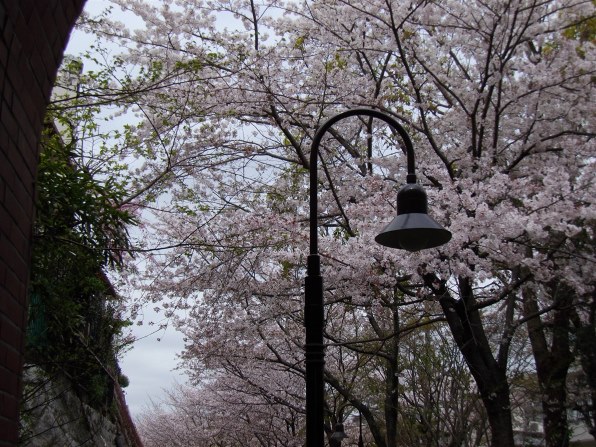 ペンタックス Optio VS20投稿画像・動画 (掲示板) - 価格.com