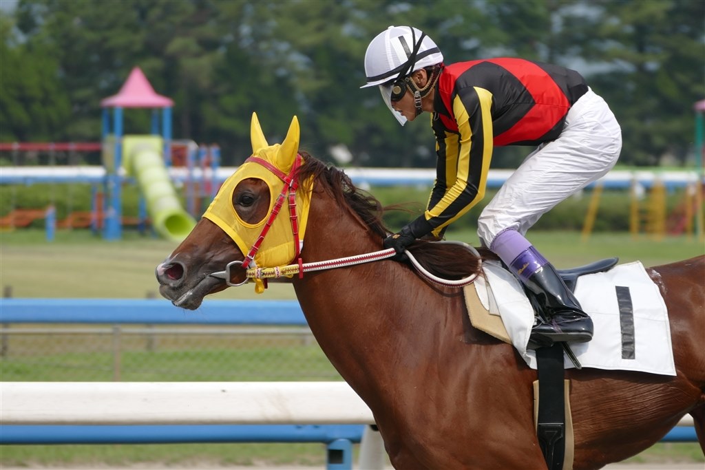 競走馬の撮影について』 富士フイルム FinePix S1 のクチコミ掲示板