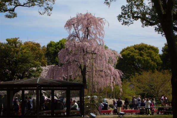 カシオ EXILIM ZOOM EX-Z57で撮影された写真 - 価格.com