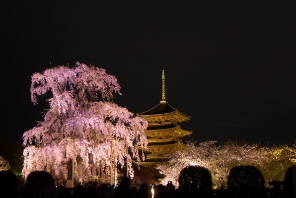 カシオ EXILIM ZOOM EX-Z57で撮影された写真 - 価格.com