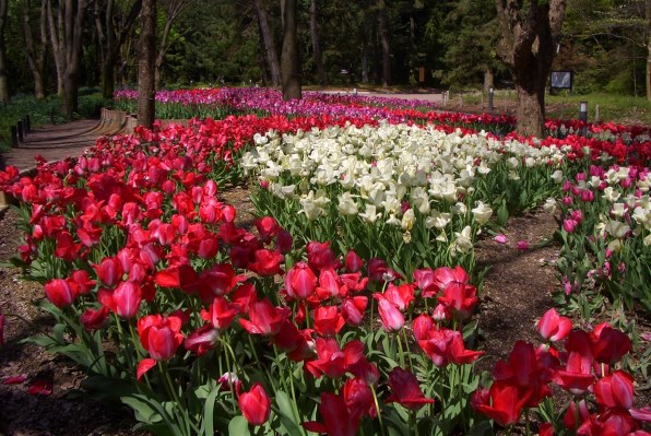 カシオ EXILIM ZOOM EX-Z57で撮影された写真 - 価格.com