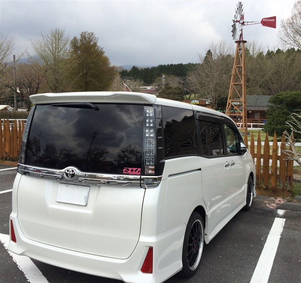 80 ヴォクシーノアエクスファイア 2色塗分風 フラップサイドステップ