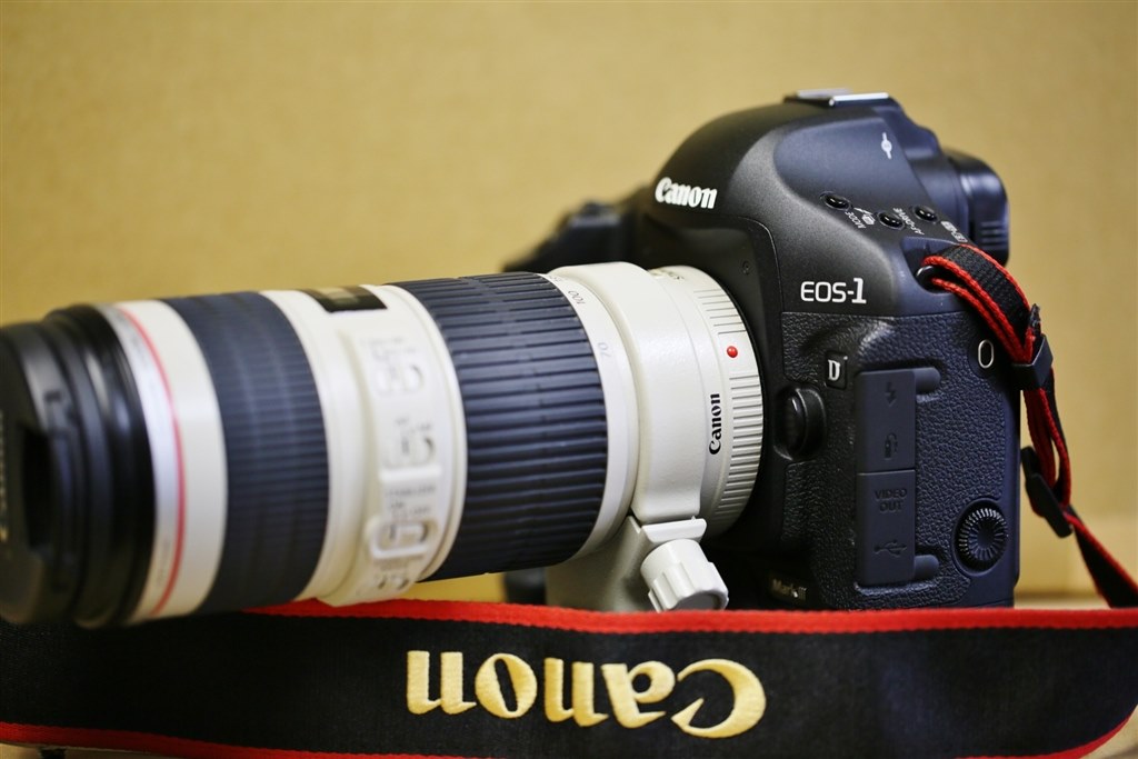 CANON EOS 1DX　MarkⅡ 箱付　中古 ショット数少 CANON EOS 1DX MarkⅡ 箱付 中古 ショット数少 CANON EOS 1DX MarkⅡ 箱付