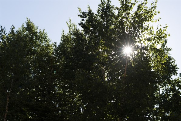 パンケーキレンズで楽しく撮りましょう パート４ Canon Ef40mm F2 8 Stm のクチコミ掲示板 価格 Com