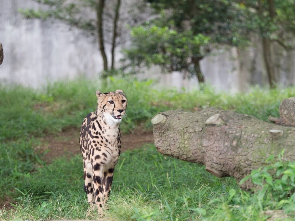 動物園で撮ってきました』 オリンパス M.ZUIKO DIGITAL ED 40 動物園で撮ってきました』 オリンパス M.ZUIKO DIGITAL ED 40