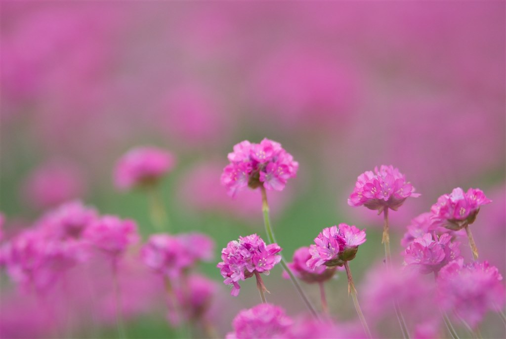 購入すべきか…悩んでいます』 ペンタックス smc PENTAX-DA☆ 300mm