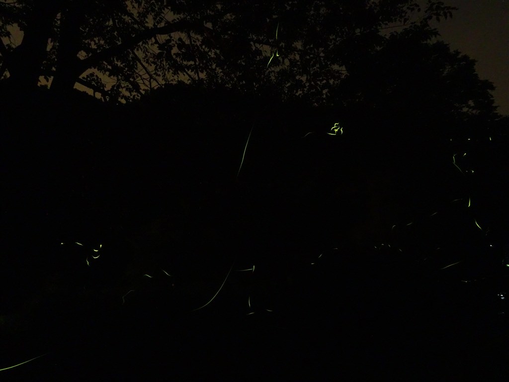 写真を見て下さい 世紀末 on X: 