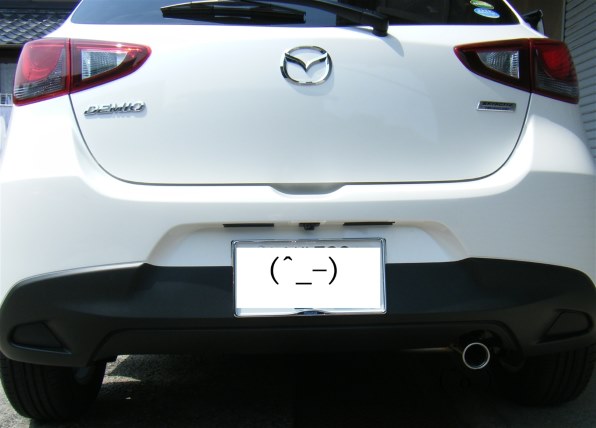 裕*能様 Fujifilm FinePix Z 100fd 撮影可能 富士フイルム