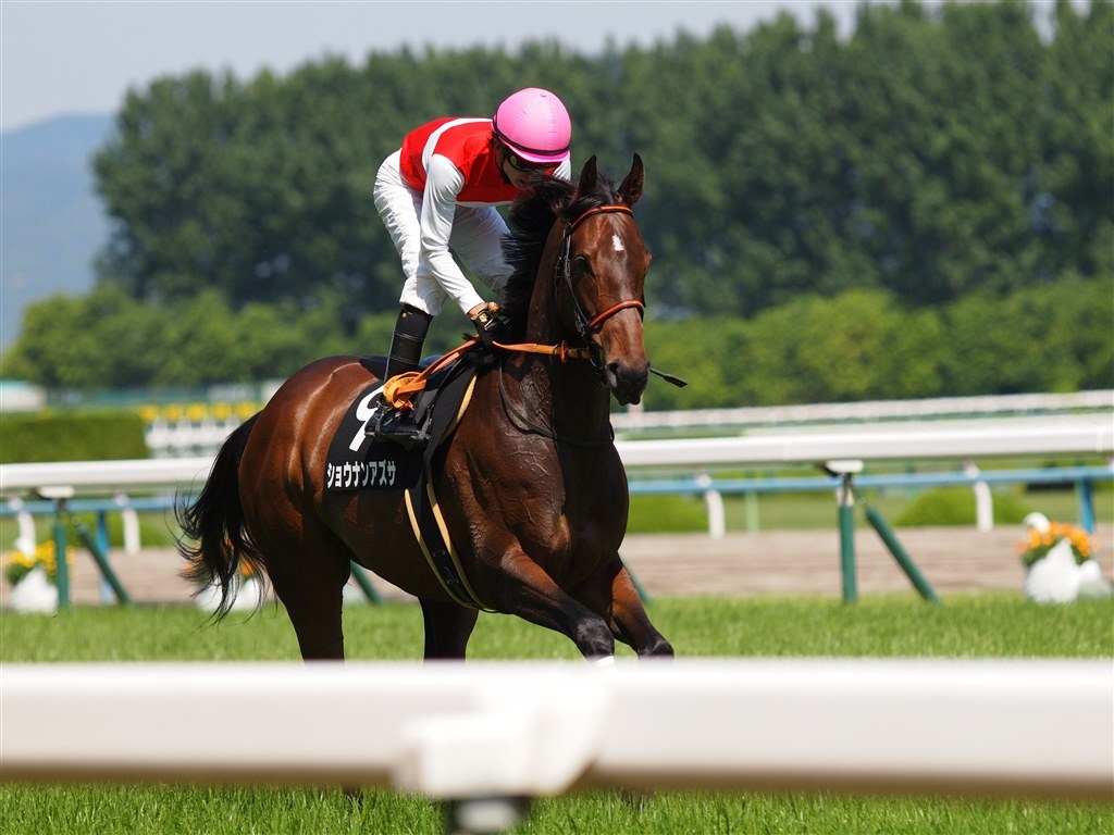 ライブビュー連写時の液晶表示』 CANON EOS 7D Mark II ボディ ライブビュー連写時の液晶表示』 CANON EOS 7D Mark II ボディ