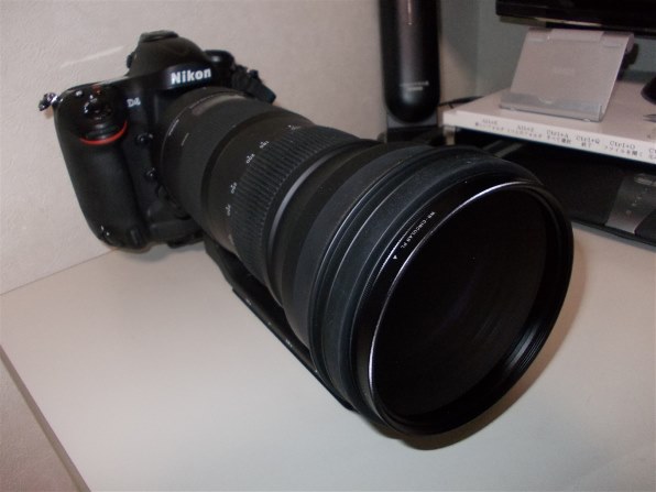 初めての超望遠』 シグマ 150-600mm F5-6.3 DG OS HSM Contemporary
