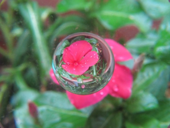 CANON PowerShot G12 価格比較 - 価格.com