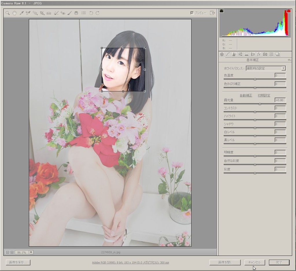 日本人の肌の色を知覚色で／強すぎる黄色』 ニコン D810 ボディ の