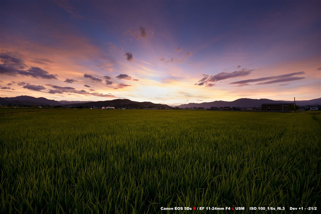 5DsR のポテンシャル』 CANON EOS 5Ds R ボディ のクチコミ 5DsR のポテンシャル』 CANON EOS 5Ds R ボディ のクチコミ