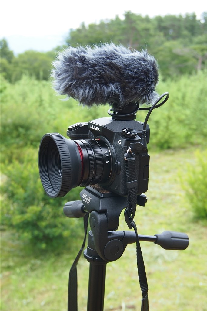 20mmF1，7使用時』 パナソニック LUMIX DMC-G7 ボディ の