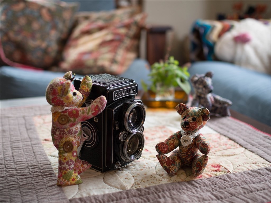 25mm、F1.4とF1.8を撮り比べてみました』 パナソニック LEICA DG 25mm、F1.4とF1.8を撮り比べてみました』 パナソニック LEICA DG