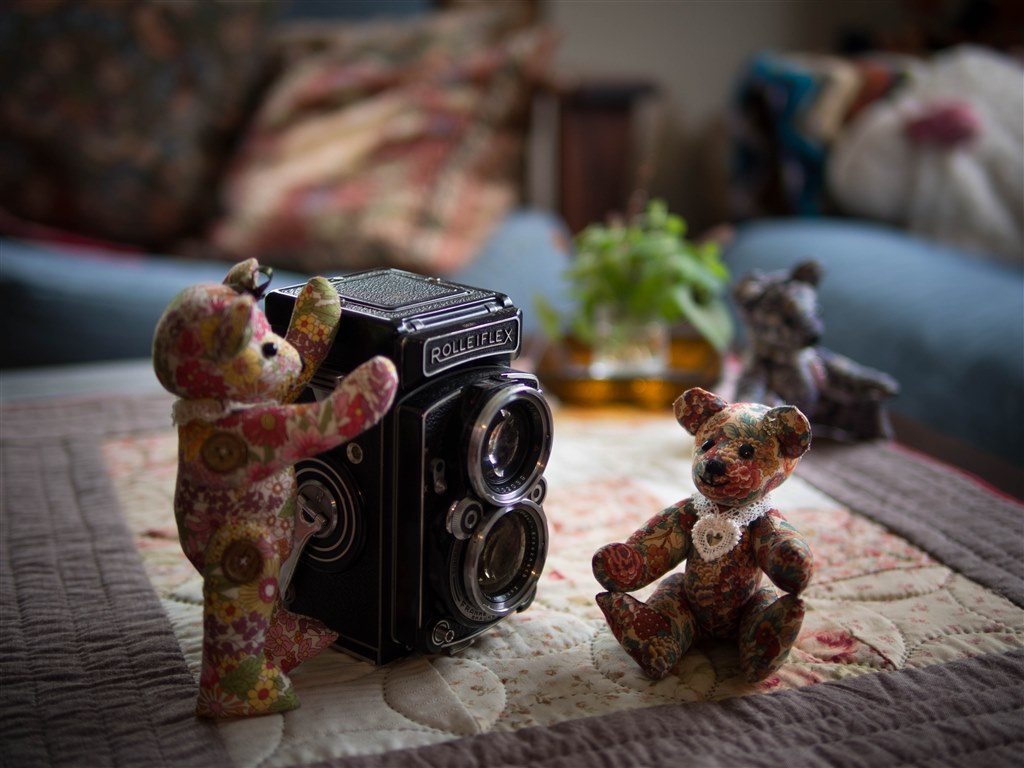 オリンパスE-M10との相性』 パナソニック LEICA DG SUMMILUX