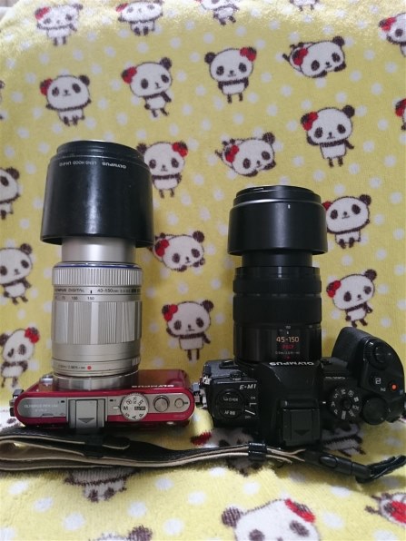 望遠レンズ』 オリンパス OLYMPUS PEN Lite E-PL2 ダブルズーム