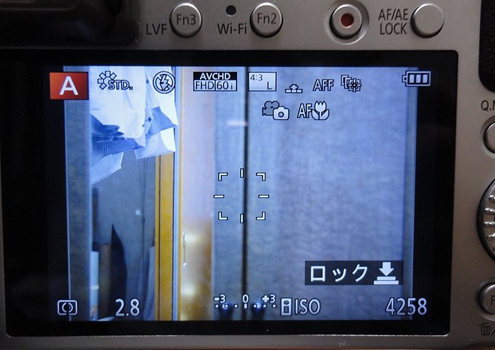 ズームアップできず困ってシマウマ』 パナソニック LUMIX DMC-LX100 の