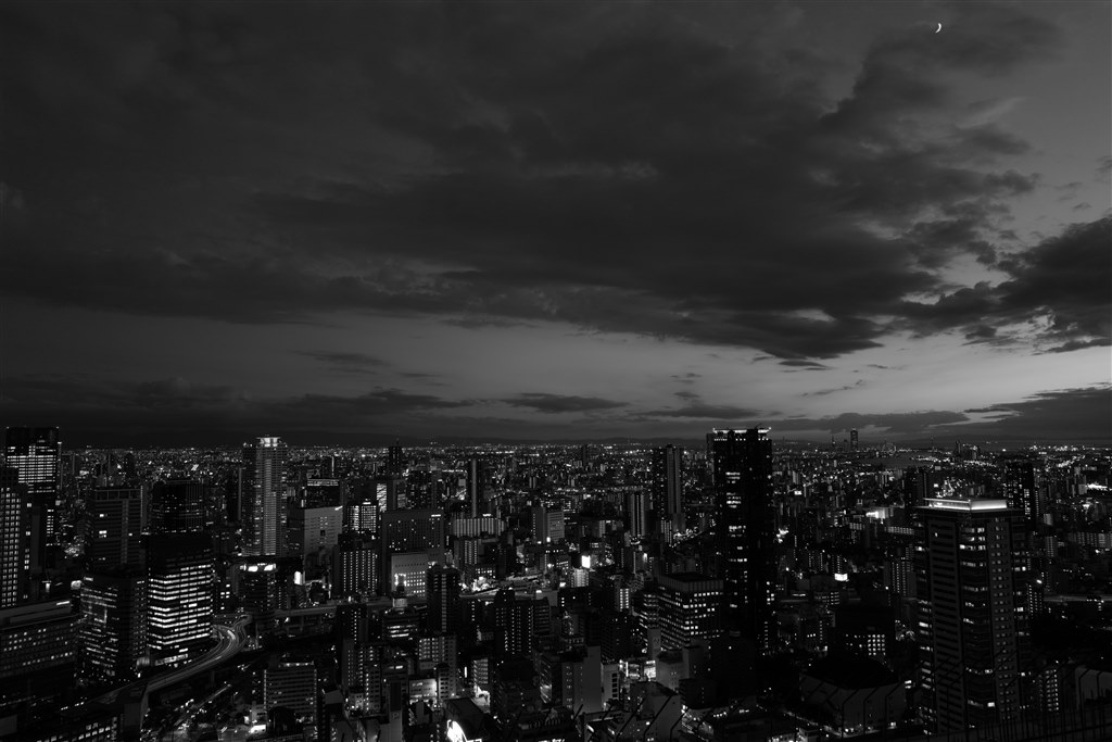 Leica ライカQ typ116 ブラック 作例あり LeicaQ(typ116)を